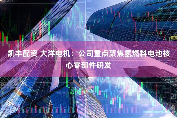 凯丰配资 大洋电机：公司重点聚焦氢燃料电池核心零部件研发
