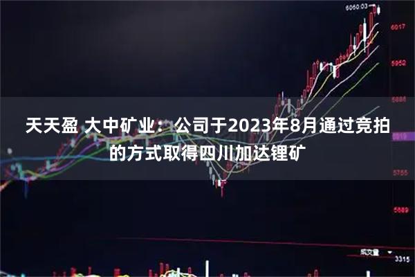 天天盈 大中矿业：公司于2023年8月通过竞拍的方式取得四川加达锂矿