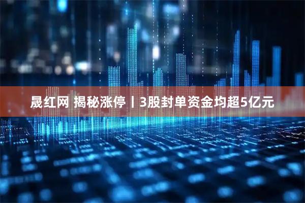 晟红网 揭秘涨停丨3股封单资金均超5亿元
