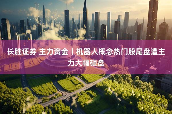 长胜证券 主力资金丨机器人概念热门股尾盘遭主力大幅砸盘