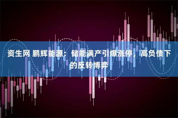 资生网 鹏辉能源：储能满产引爆涨停，高负债下的反转博弈