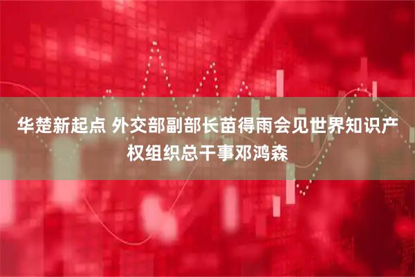 华楚新起点 外交部副部长苗得雨会见世界知识产权组织总干事邓鸿森